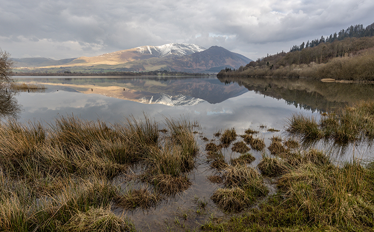 Bassenthwaite Lake - National Nature Reserve