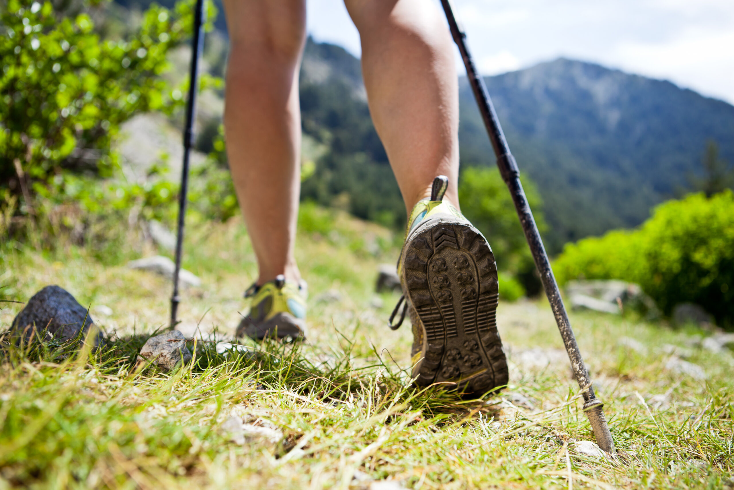 Seven ideas for walks in early summer