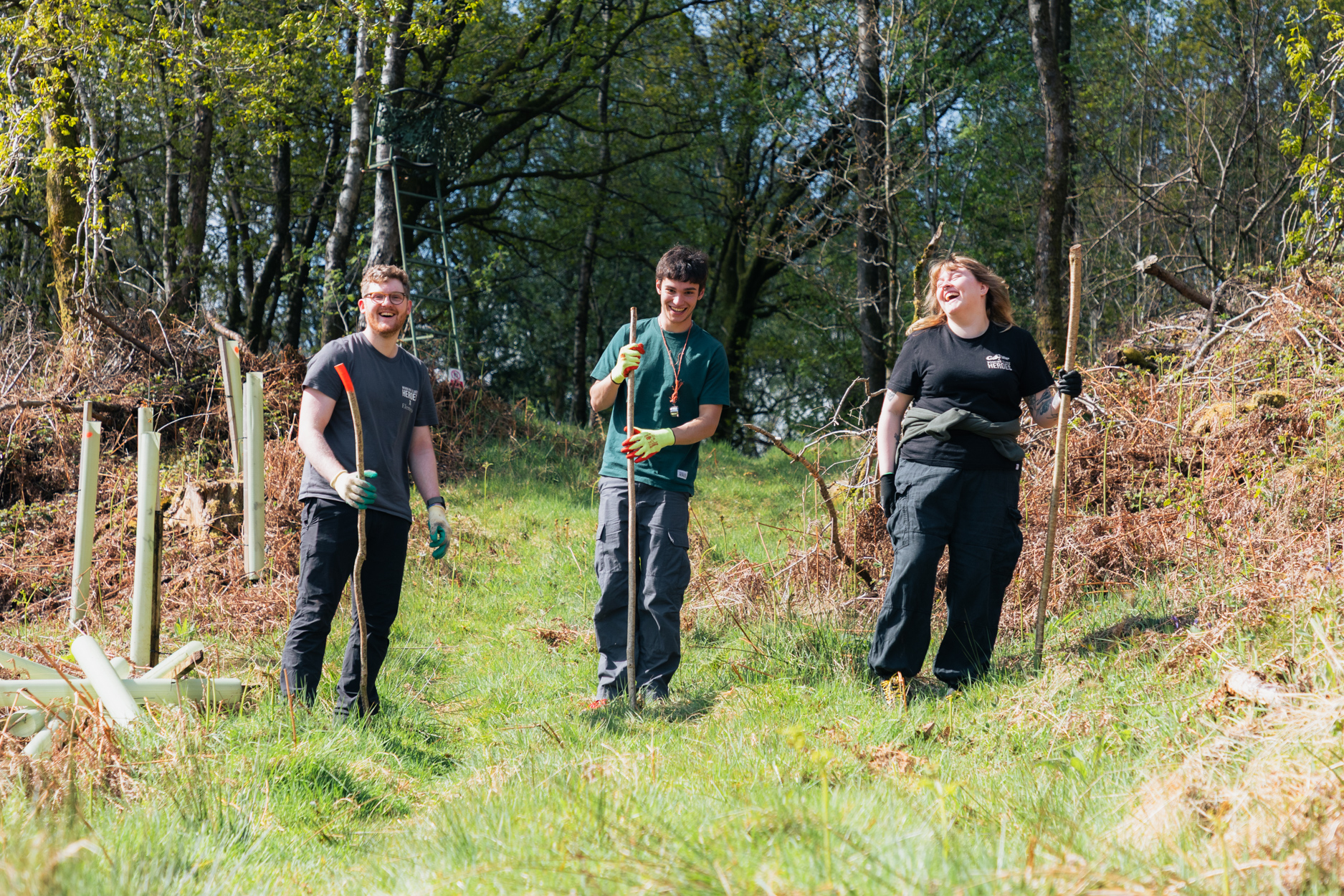 Boosting woodland diversity at Haverthwaite Heights