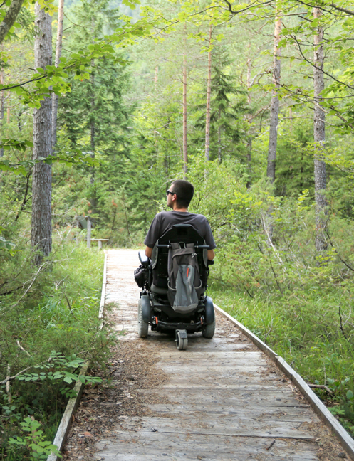 wheelchair user facing away from camera on a wooden boardwalk amongst green woodland