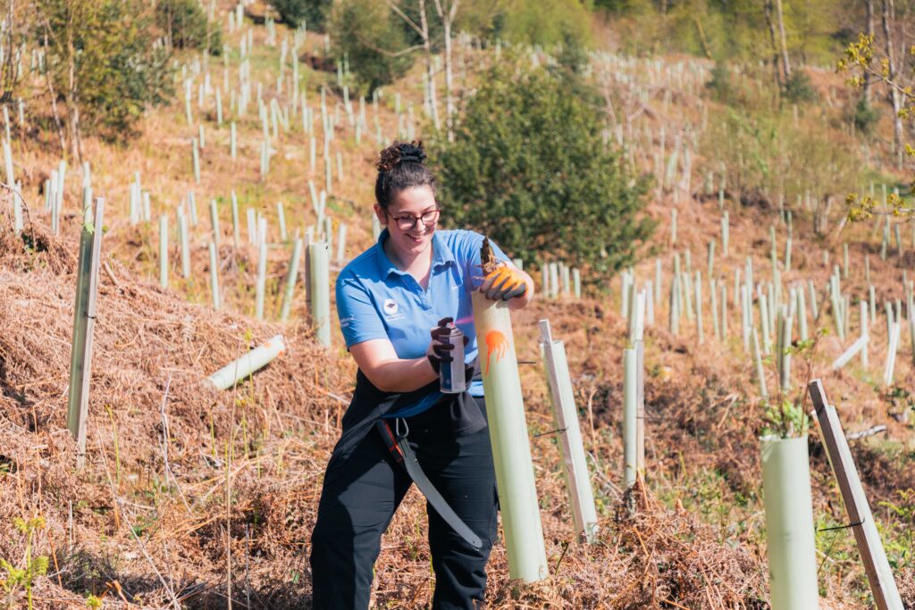 adult female outdoors planting trees on a moor