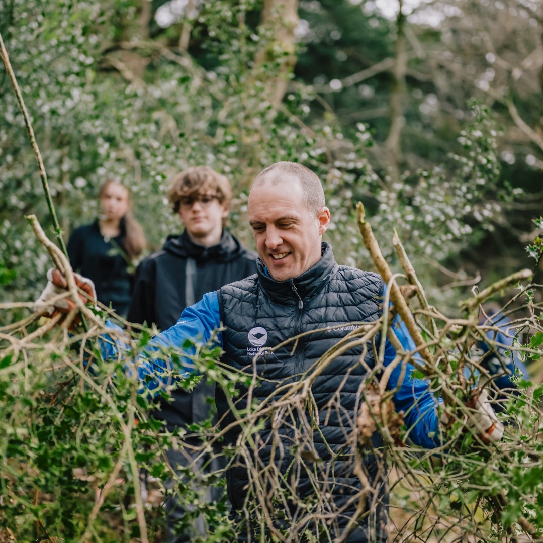 Chief Exec wearing a Lake District National Park jacket moving branches in a wooded area, with others working in the background.