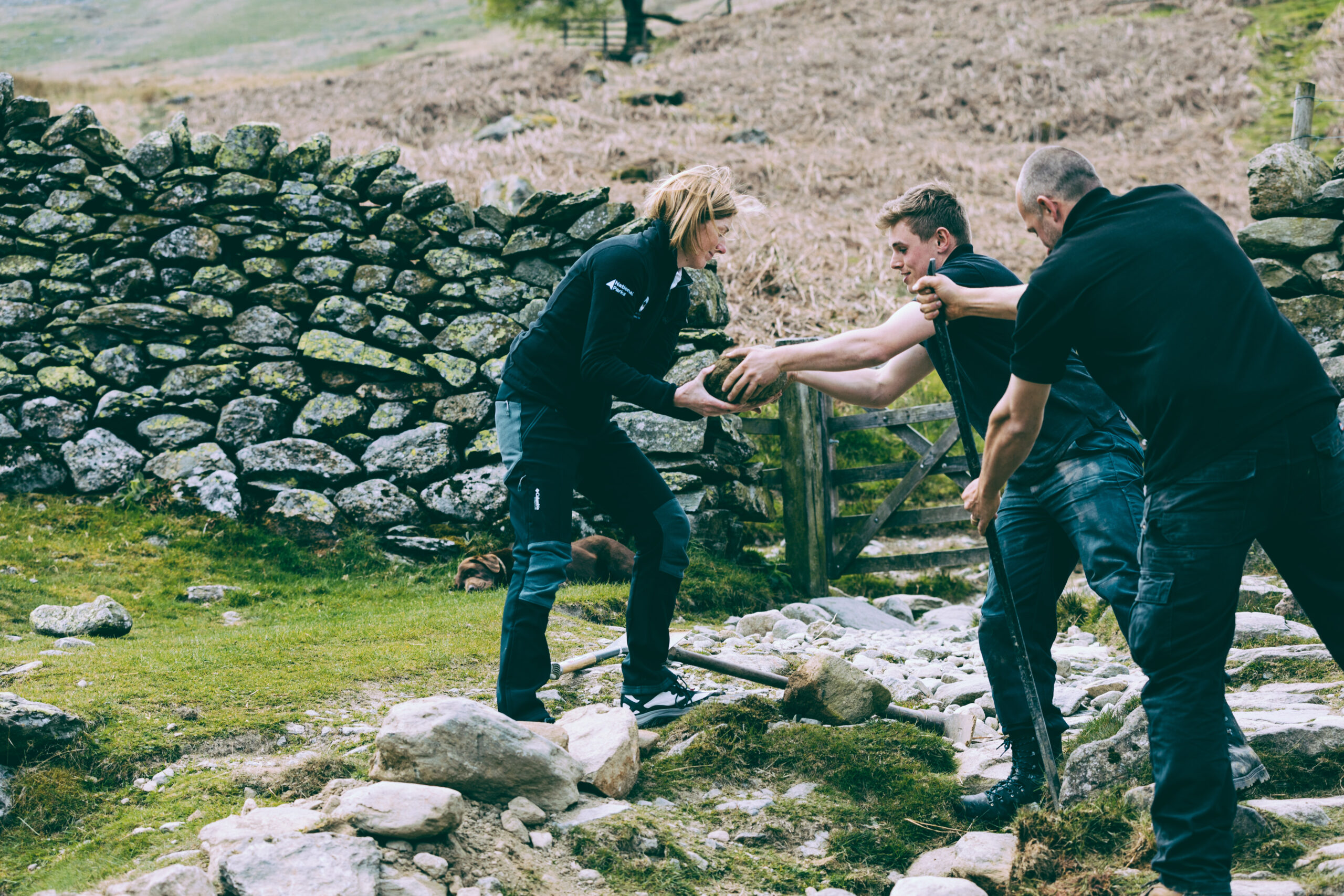 three national park rangers passing stone and constructing a stone path on a grassy field. slatestone dry stone wall and wooden gate behind them