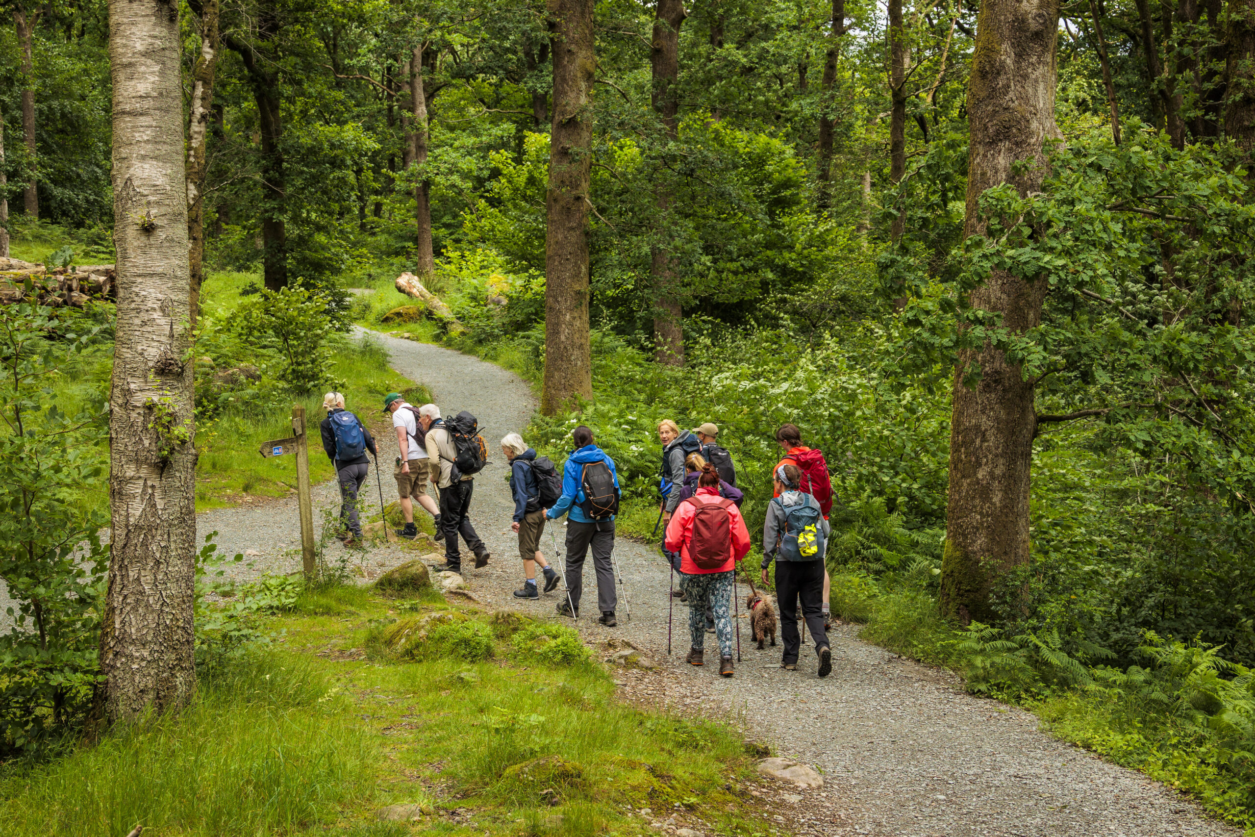 Guided walks