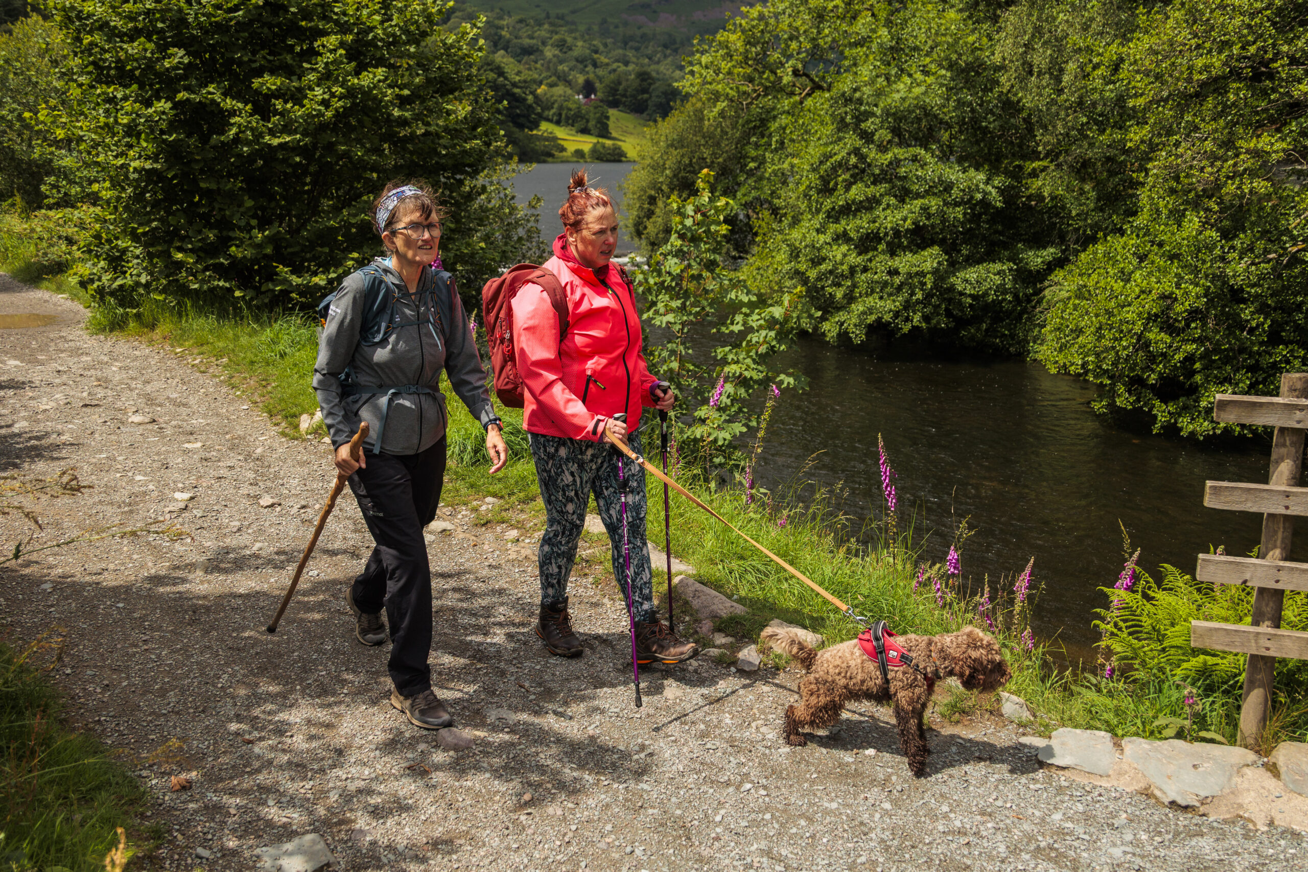 Two people walking a dog in the Lake District National Park