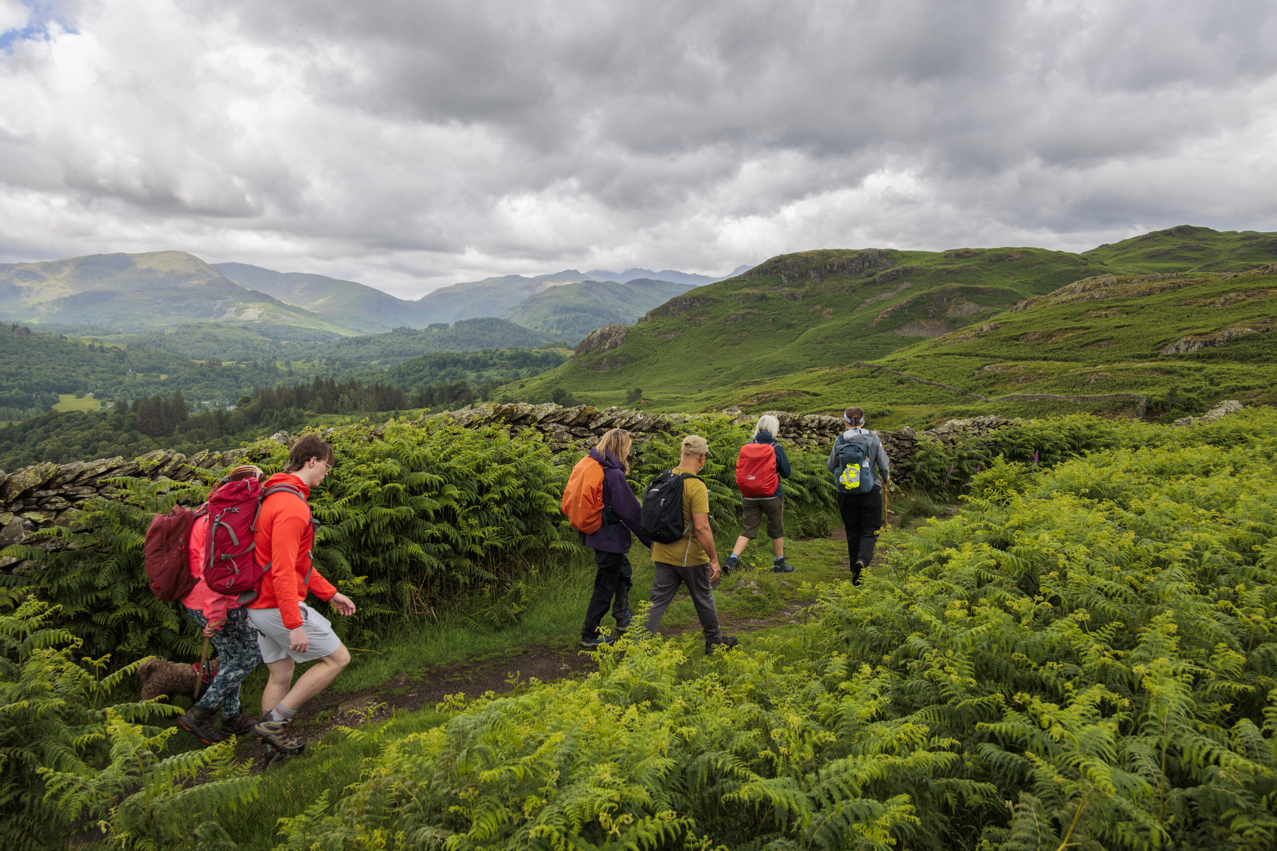 Group of people walking on a guided walk in the Lake District National Park