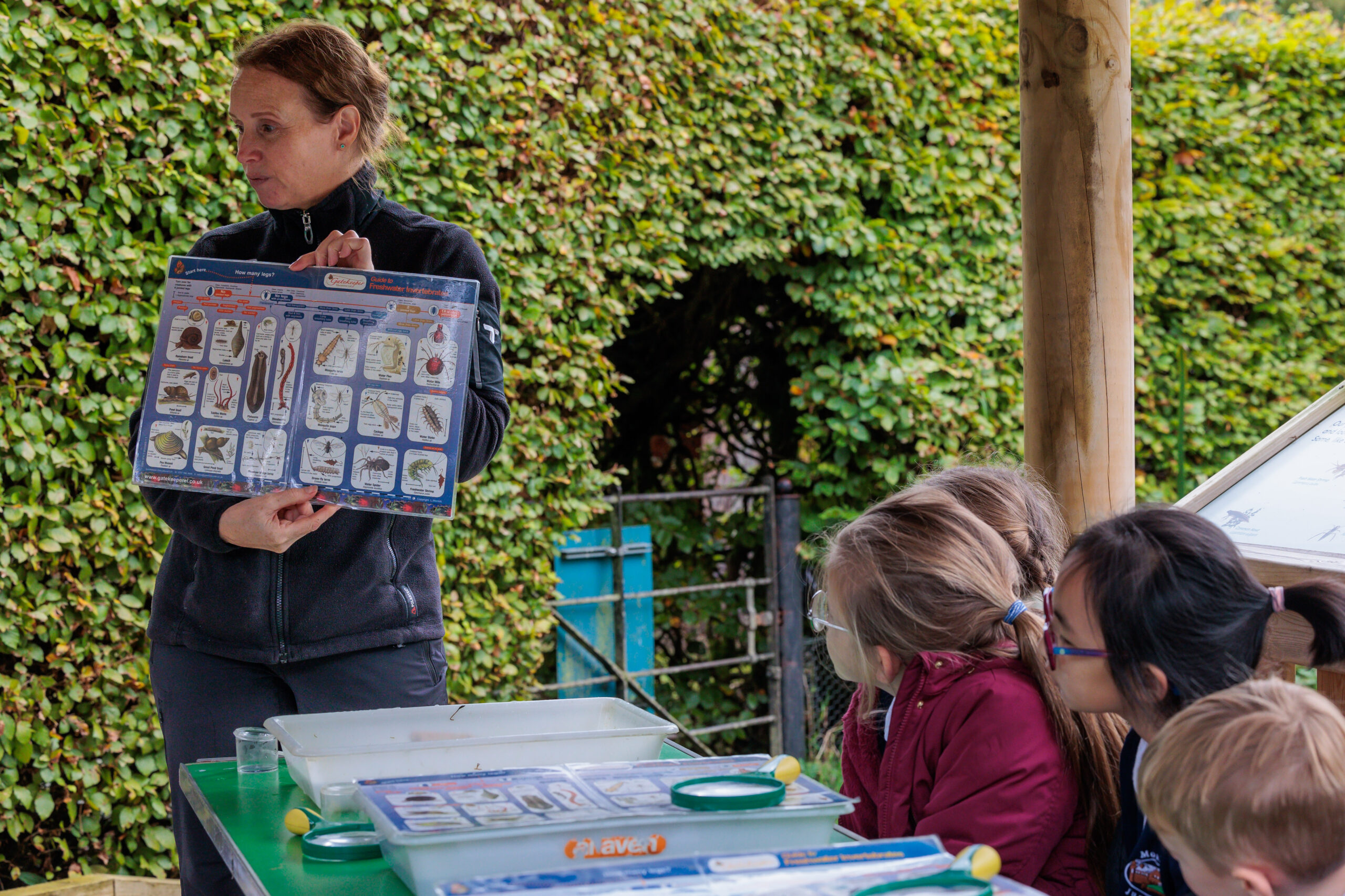 Learning and Engagement leader showing a identification key to a group of children during a pond dipping session