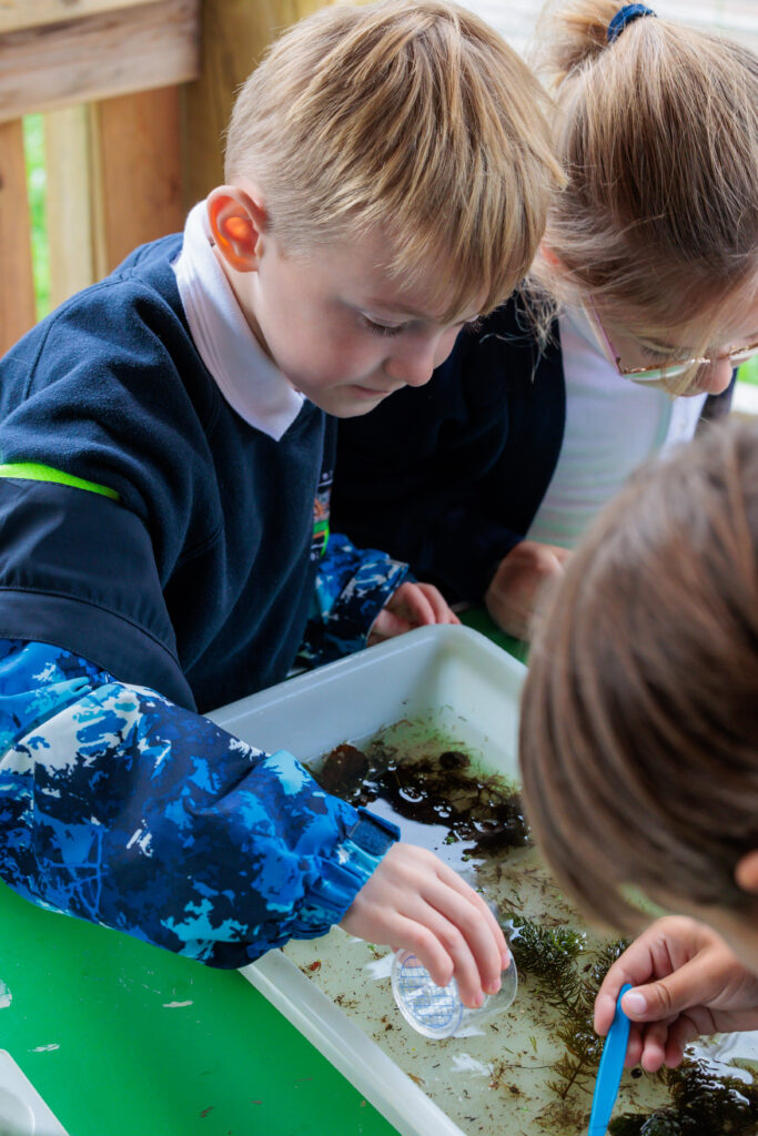 children scooping pond dipping sample
