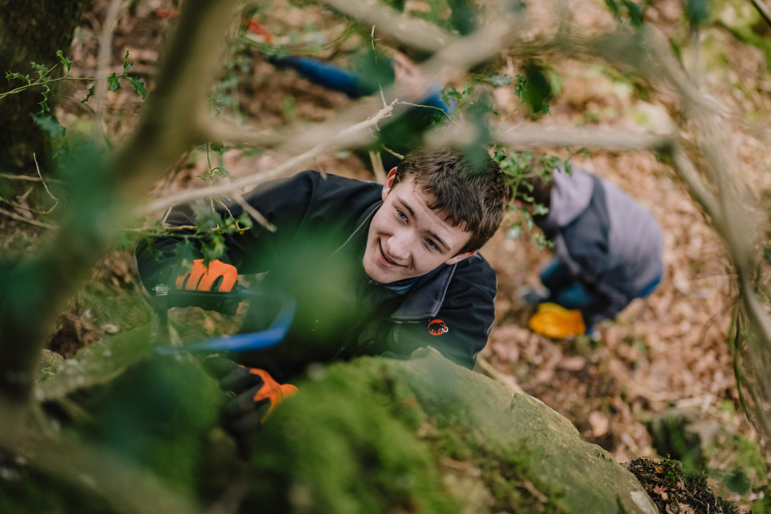 A young person sawing a holly tree.