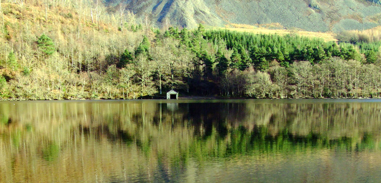 Lanthwaite Wood, Crummock Water