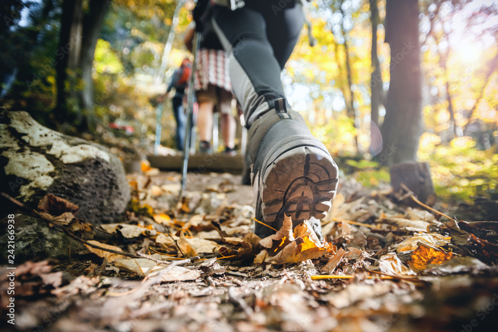 Close up photo from behind of an adult wearing hiking boots, leggings and using walking poles. Walking on a path with dried orange leaves in a woodland.