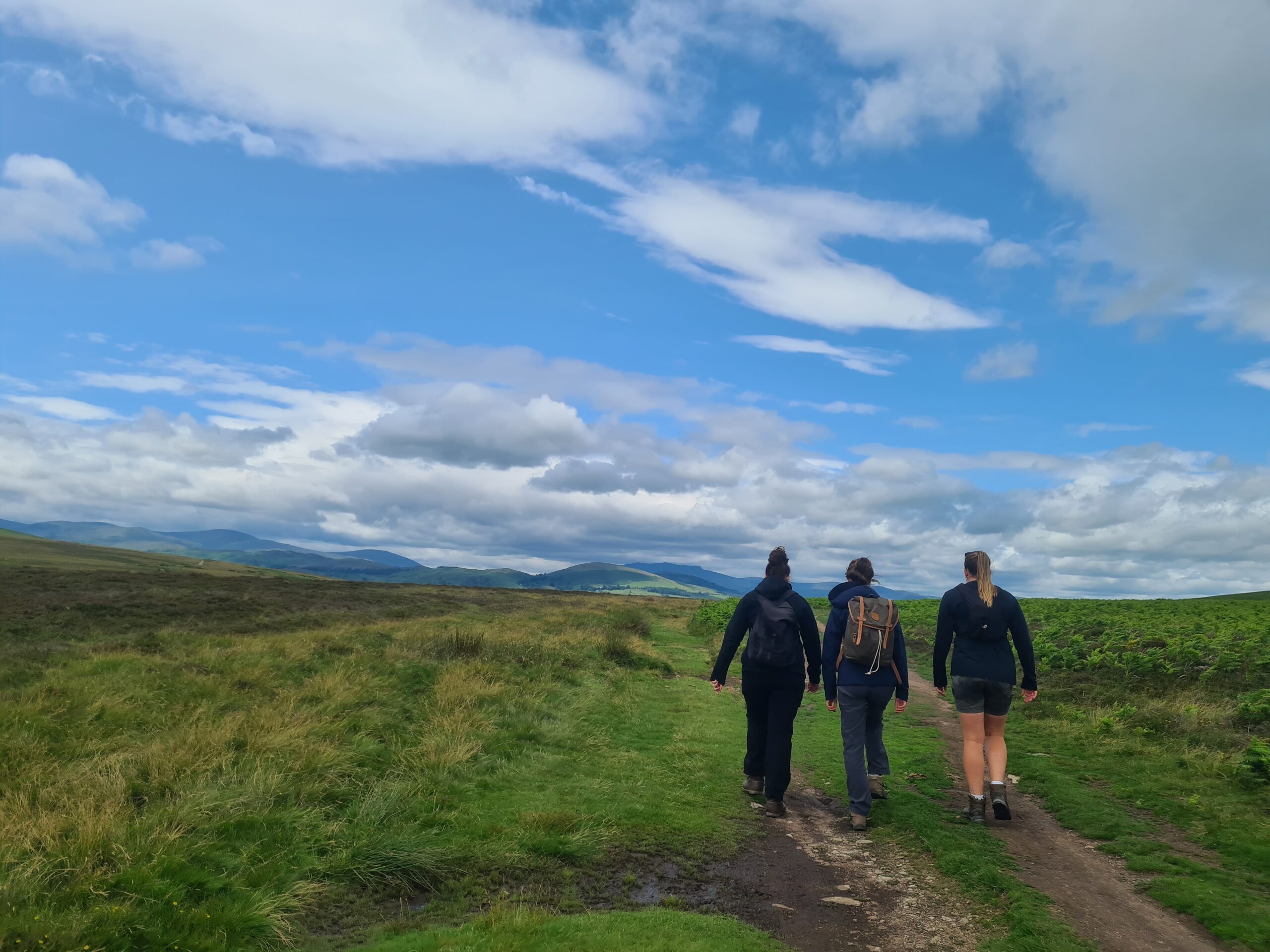 Lowther Loop