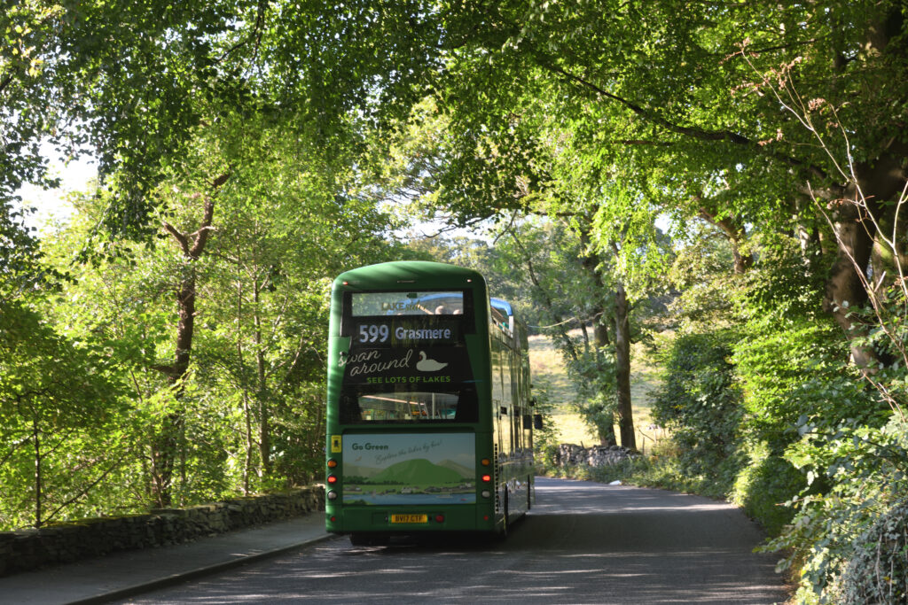 green double decker bus on tarmac road under green tree canopy