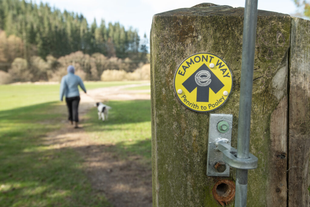 A gate post with a yellow roundel and black arrow for the Eamont Way. A women with a dog along a path through a field