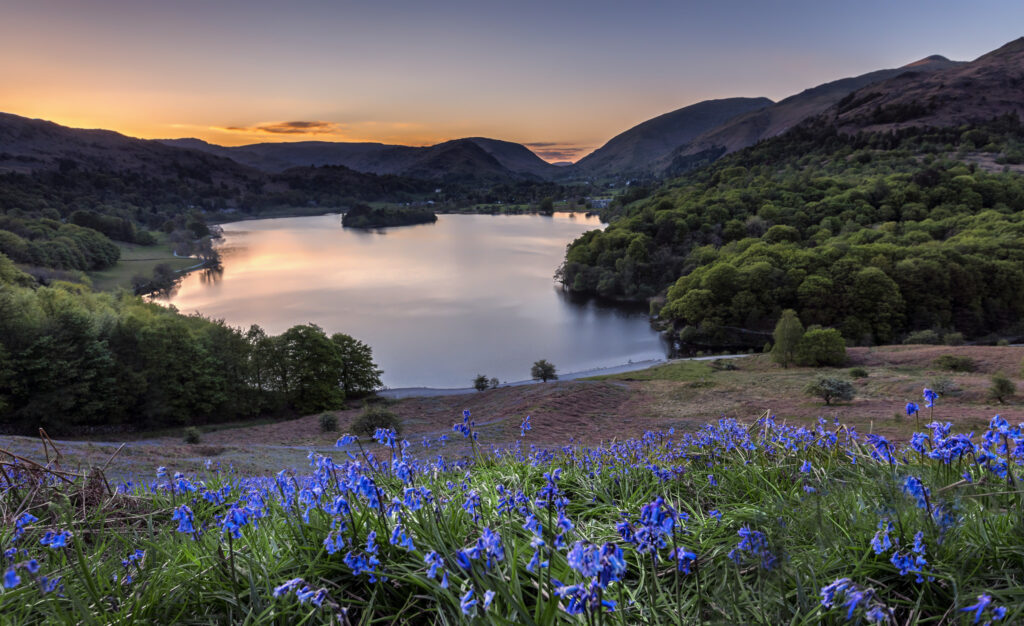 Overlooking Grasmere water with bluebells in the foreground and sunsetting behind the fells in the distance.