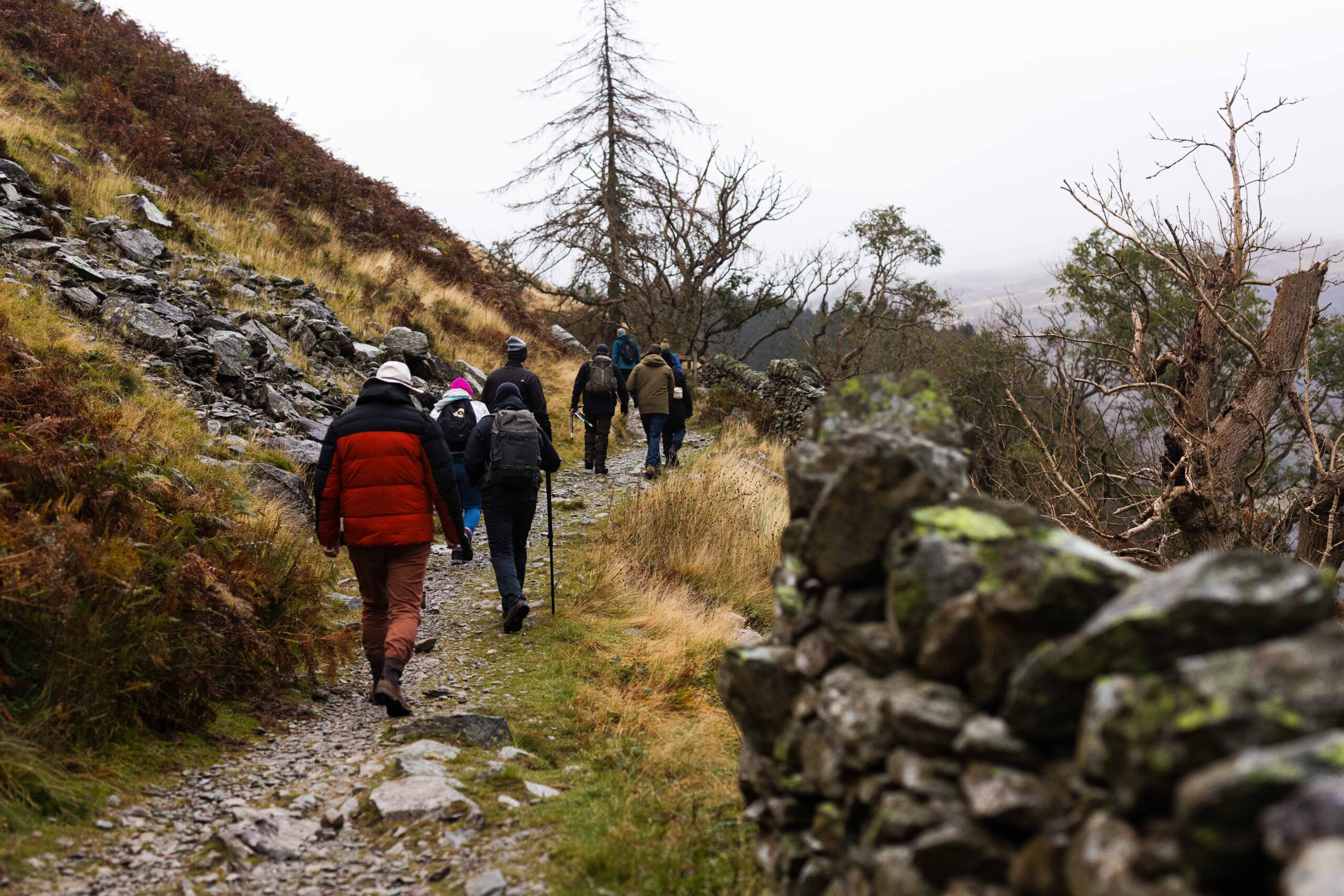 Free volunteer-led guided walks bring the Lake District to life