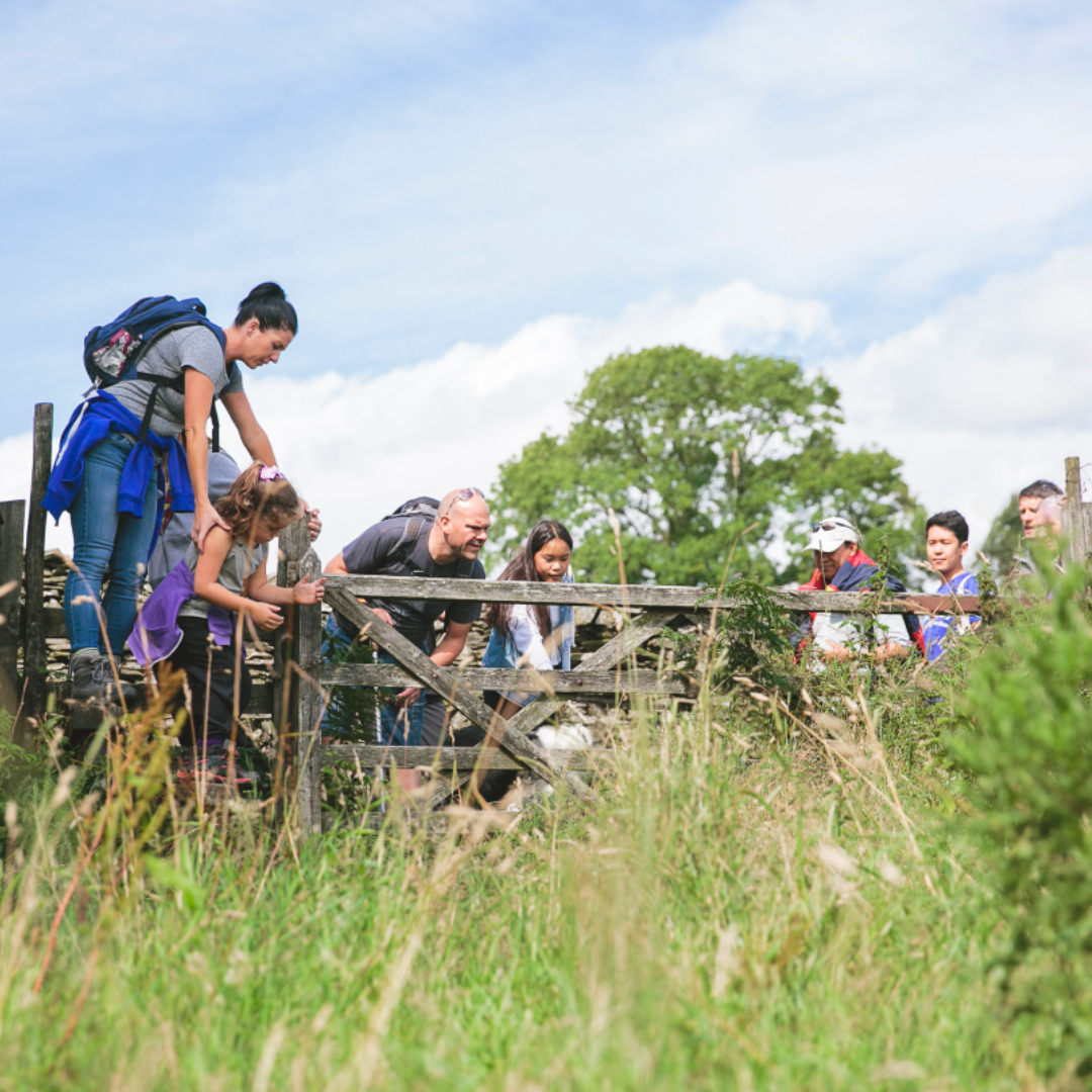 Lake District National Park Authority welcomes Government’s nature package announcement
