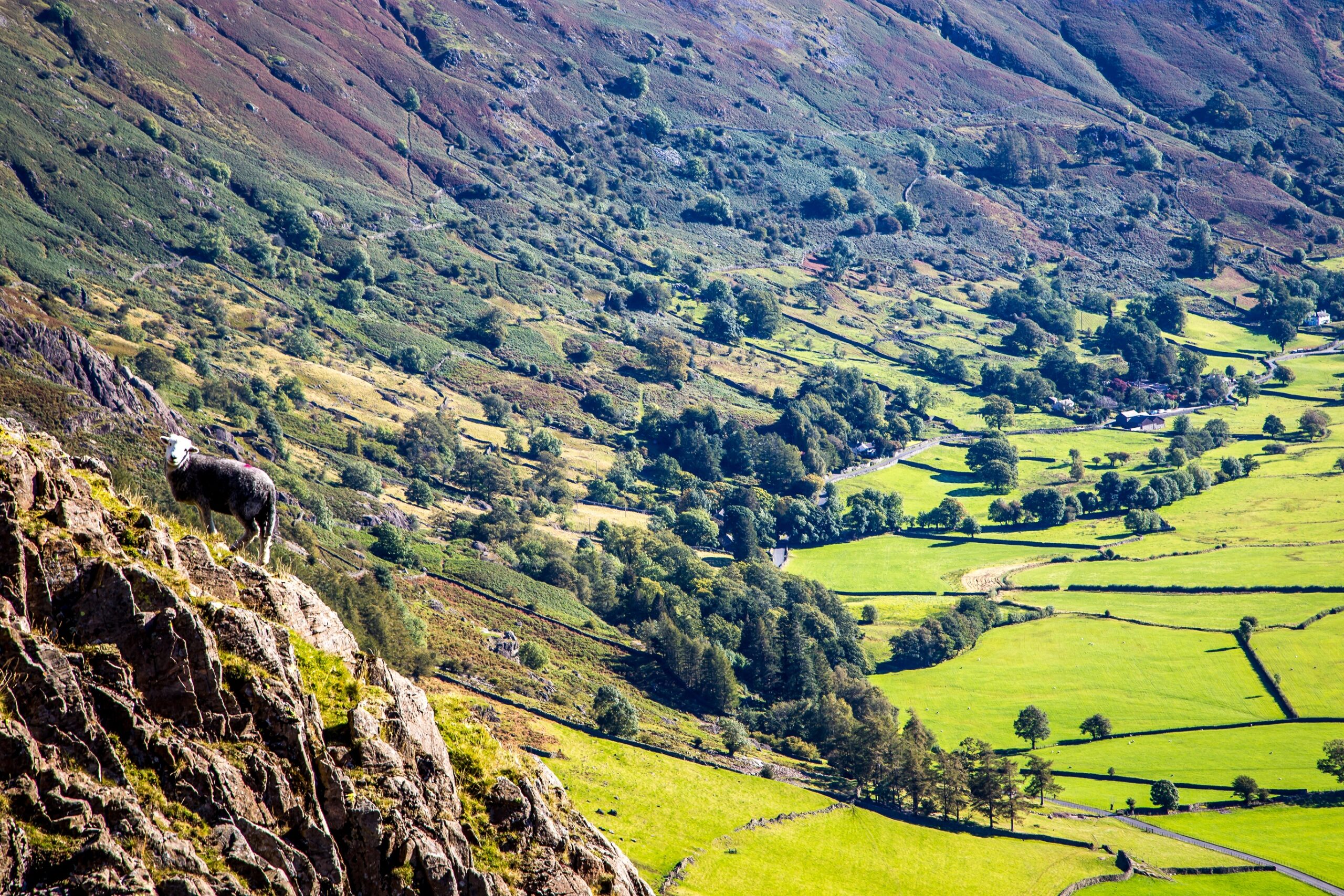How a card game is engaging young people with the future of the Lake District