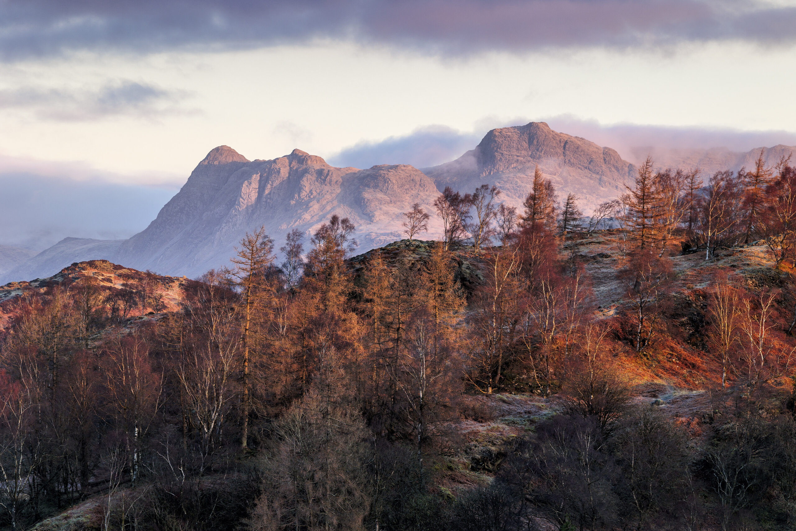 Langdale fells on a pink and orange sunset. Tall orange trees are in front of snow dusted fells