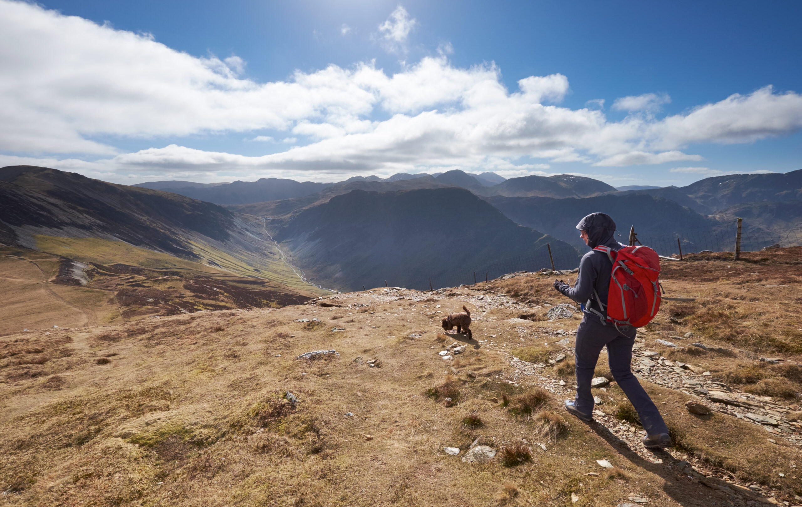 walker in black clothing and red rucksack walking with small black dog across beige fell top, fells in distance, sunny day