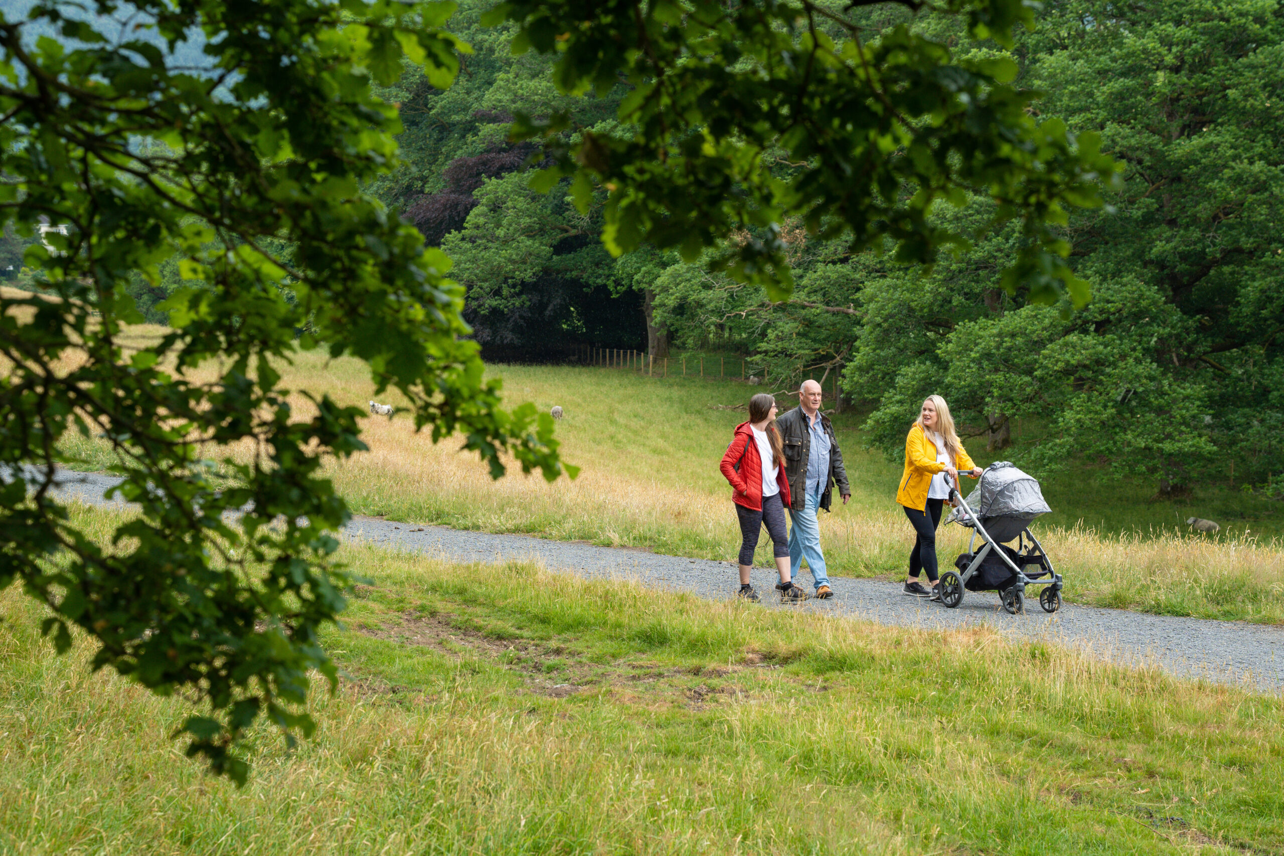 Active Travel Network Plan introduction
