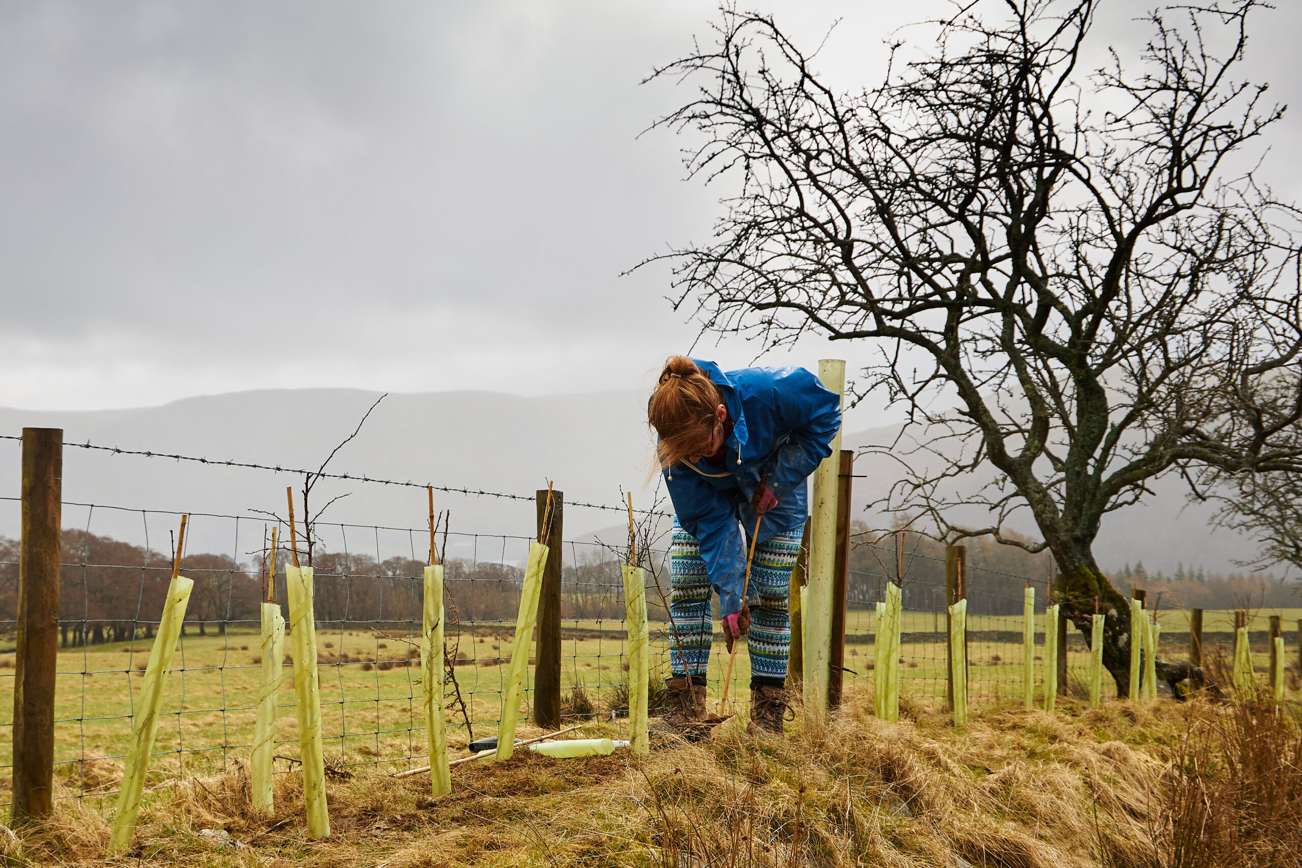 Climate adaptation and resilience