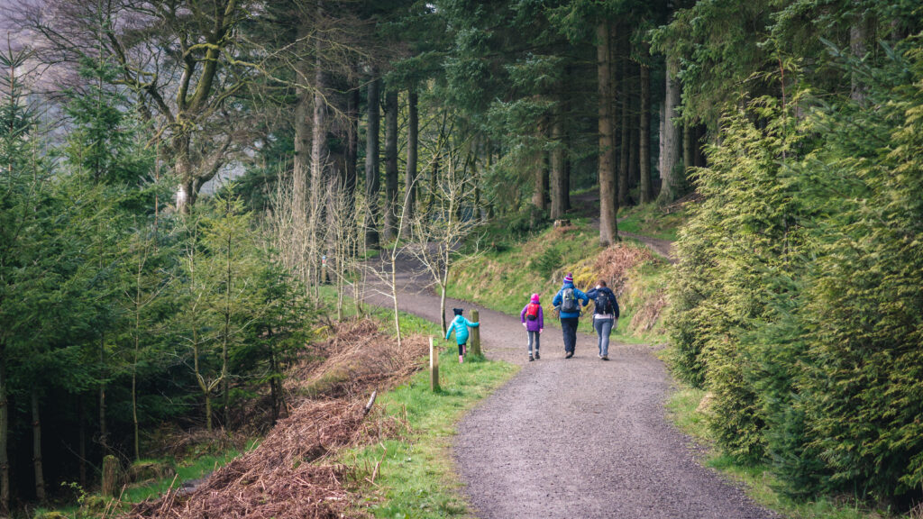Family of 4 hiking through Whinlatter Forest. A wide gravel path goes through the centre of tall dark green pine trees.