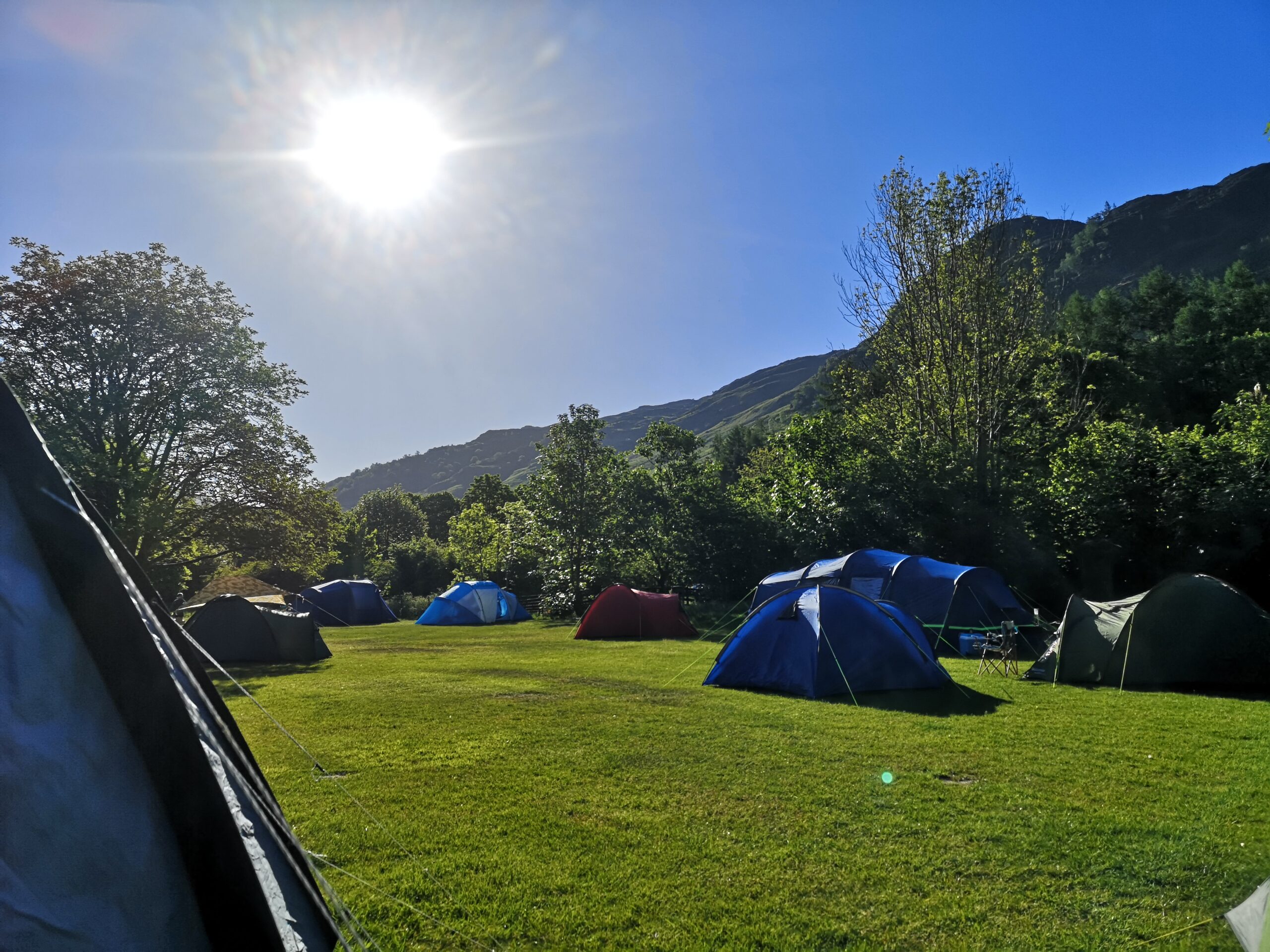 tents pitched in a grassy field with blue sky and sun beaming down