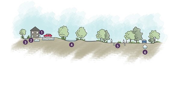 simple infographic sketch of land, trees, a house, car and driveway. illustrating movement of water on surfaces