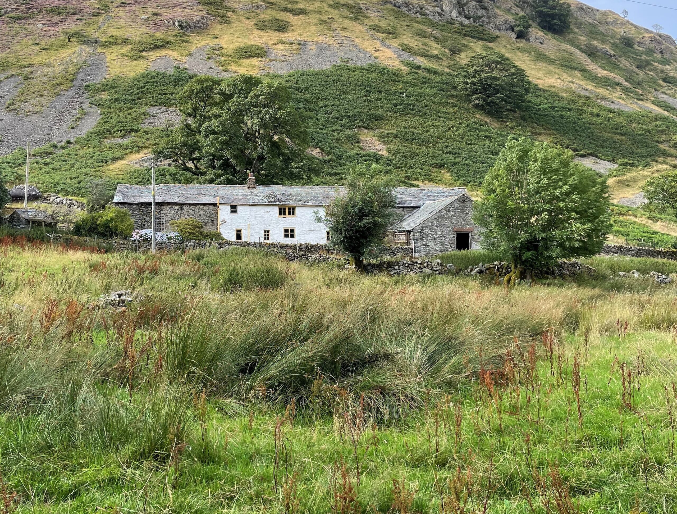 large two storey rural farm cottage made of slate and white limewash nested at the bottom of a fell with a wild grassy field in foreground