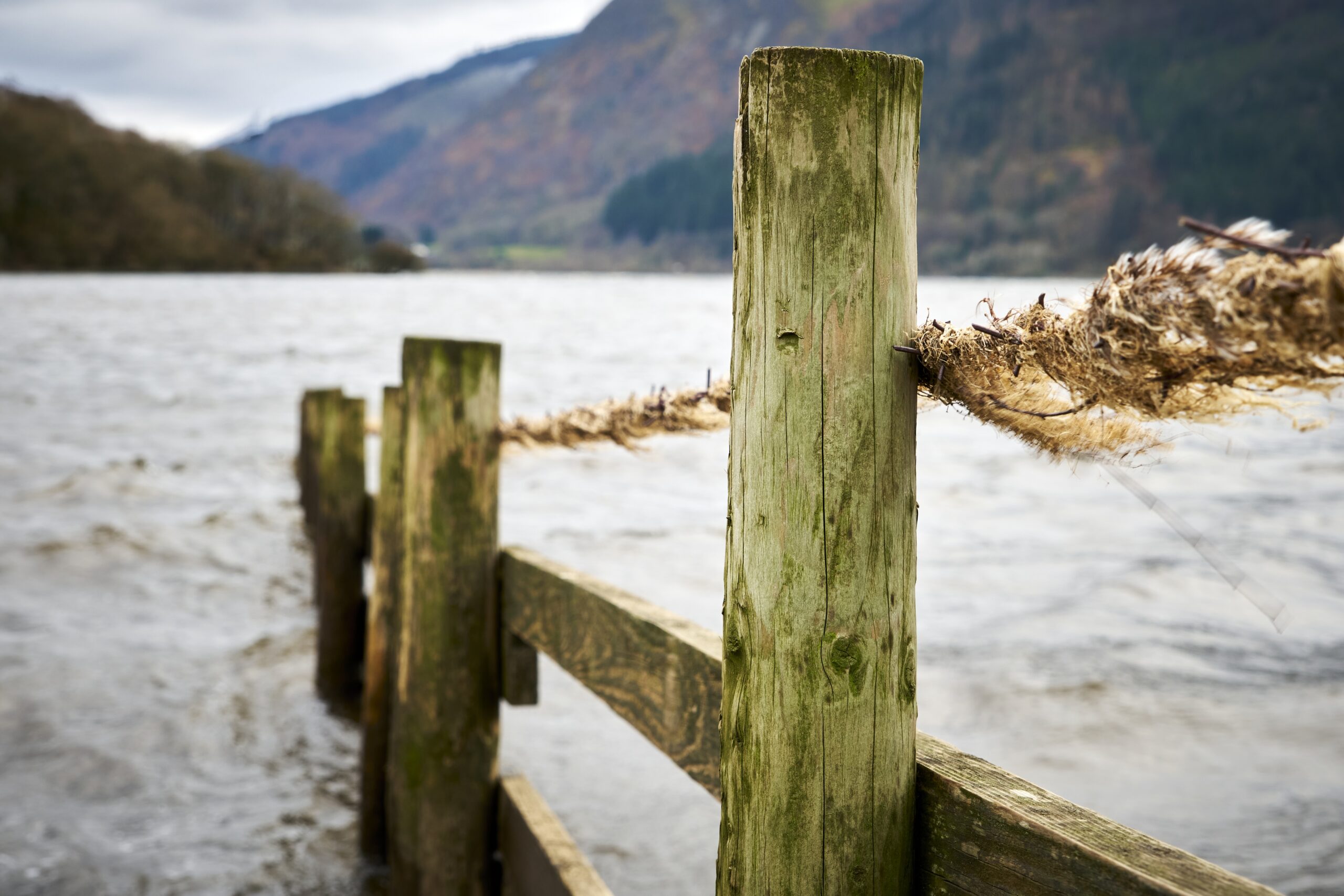 A wooden fence with rope going into the water at Bassenthwaite