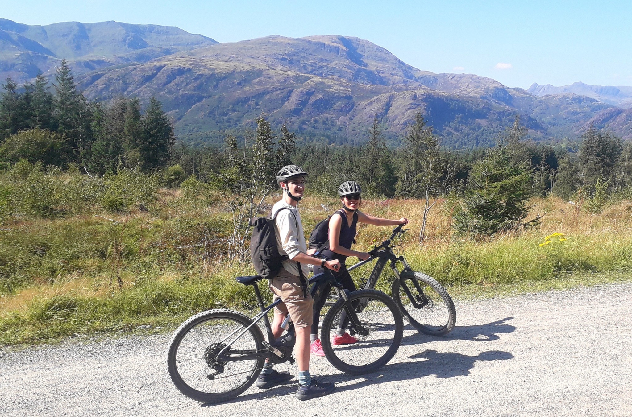 Grizedale Forest Loop