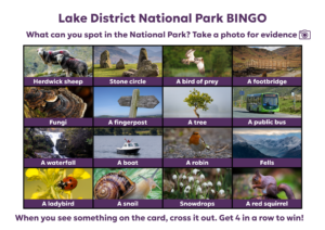 Lake District bingo card with 16 squares featuring images of different things to spot in the lake district including Herdwick sheep, stone circles, fells and red squirrel