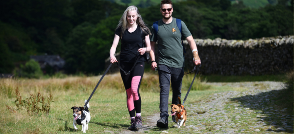 Advice for Lake District dog walkers ahead of National Dog Walking Day