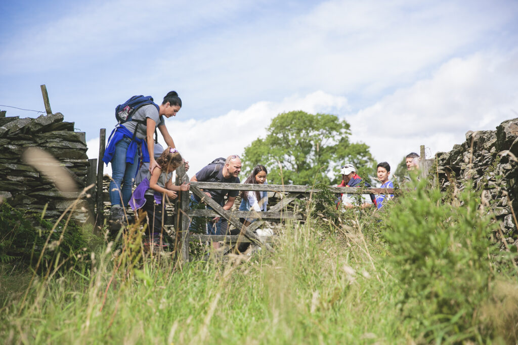large family behind wooden farm gate with tall grass surrounding, adult female climbing over dry stone wall stile