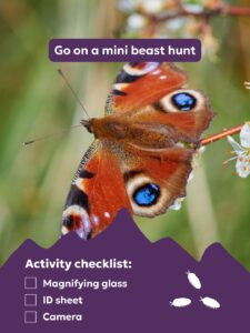 mini beat hunt graphic of a butterfly and activity tools needed