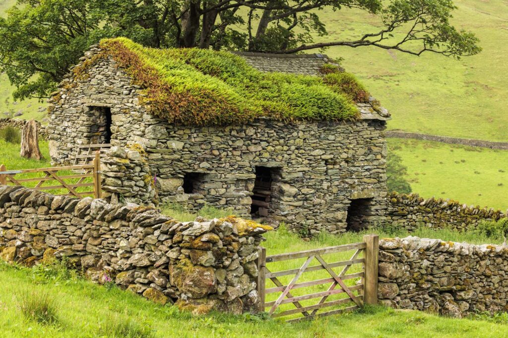A picturesque stone-built barn with moss covered roof and rectangle openings as windows and door stood on the base of a grassy fell. Surrounded by a stone-built wall and wooden gate.