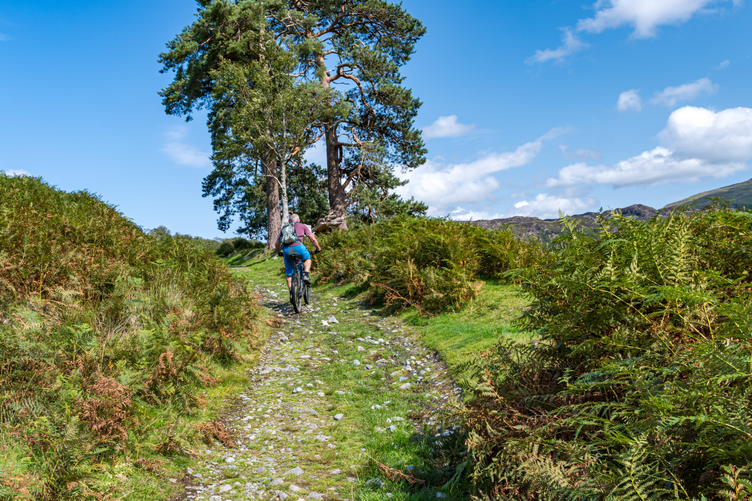 mountain biker on green bridleway, blue sky
