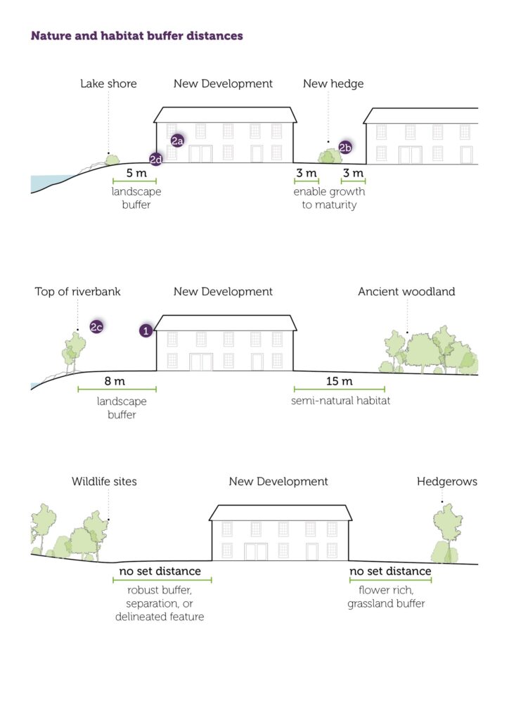 line infographic to show nature and habitat buffer distances when designing a new development