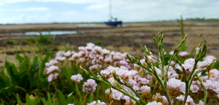 Ten scenic waterside walks