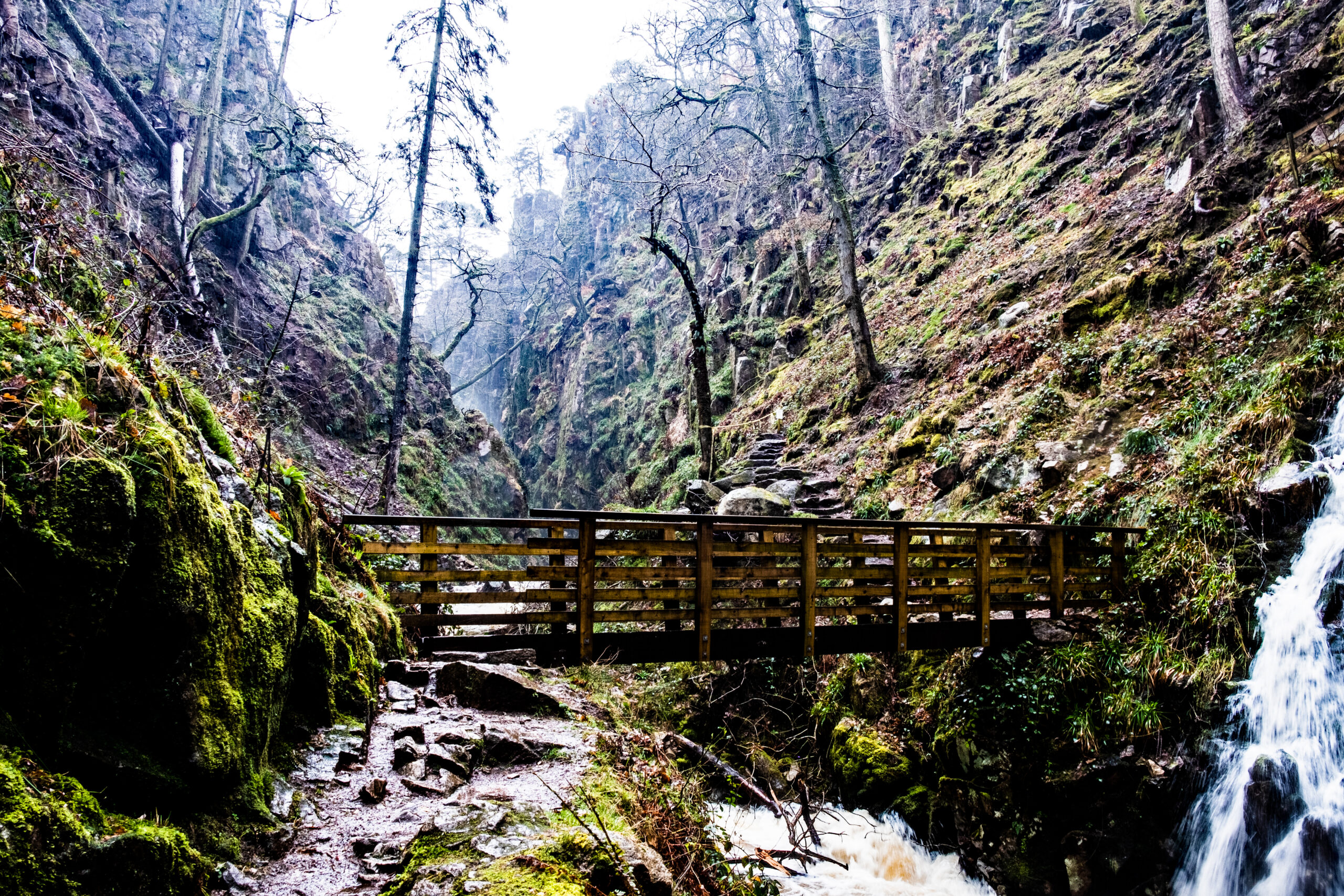 Volunteers open up views at Stanley Ghyll, Eskdale