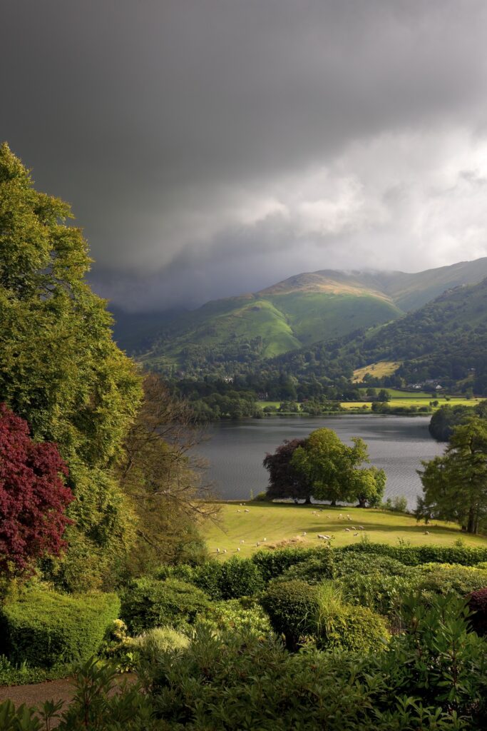 A tree on the left in the foreground and grasmere lake in the middle, which is grey in colour and surrounded by green fields. There are fells in the distance and the sky is overcast.