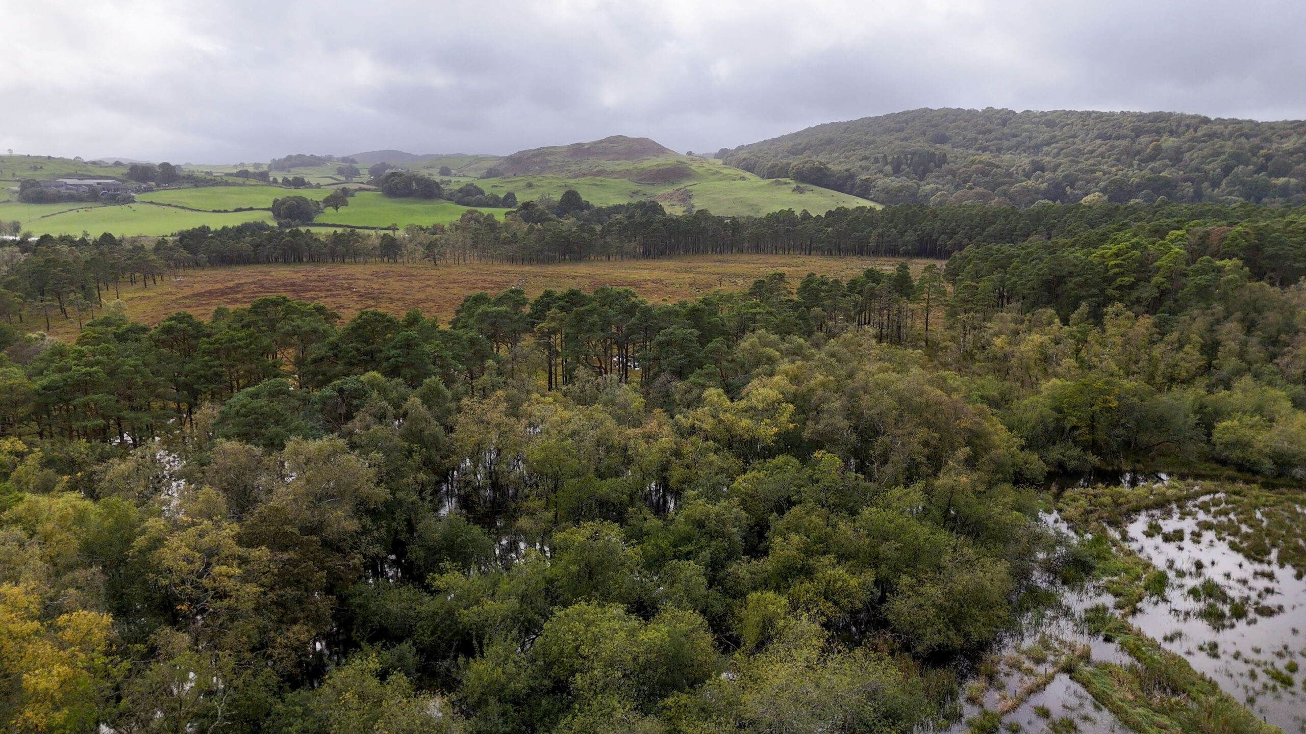Drone aerial image of Rusland Moss in South Cumbria