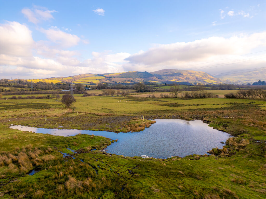 small pond in the centre of wet green fields