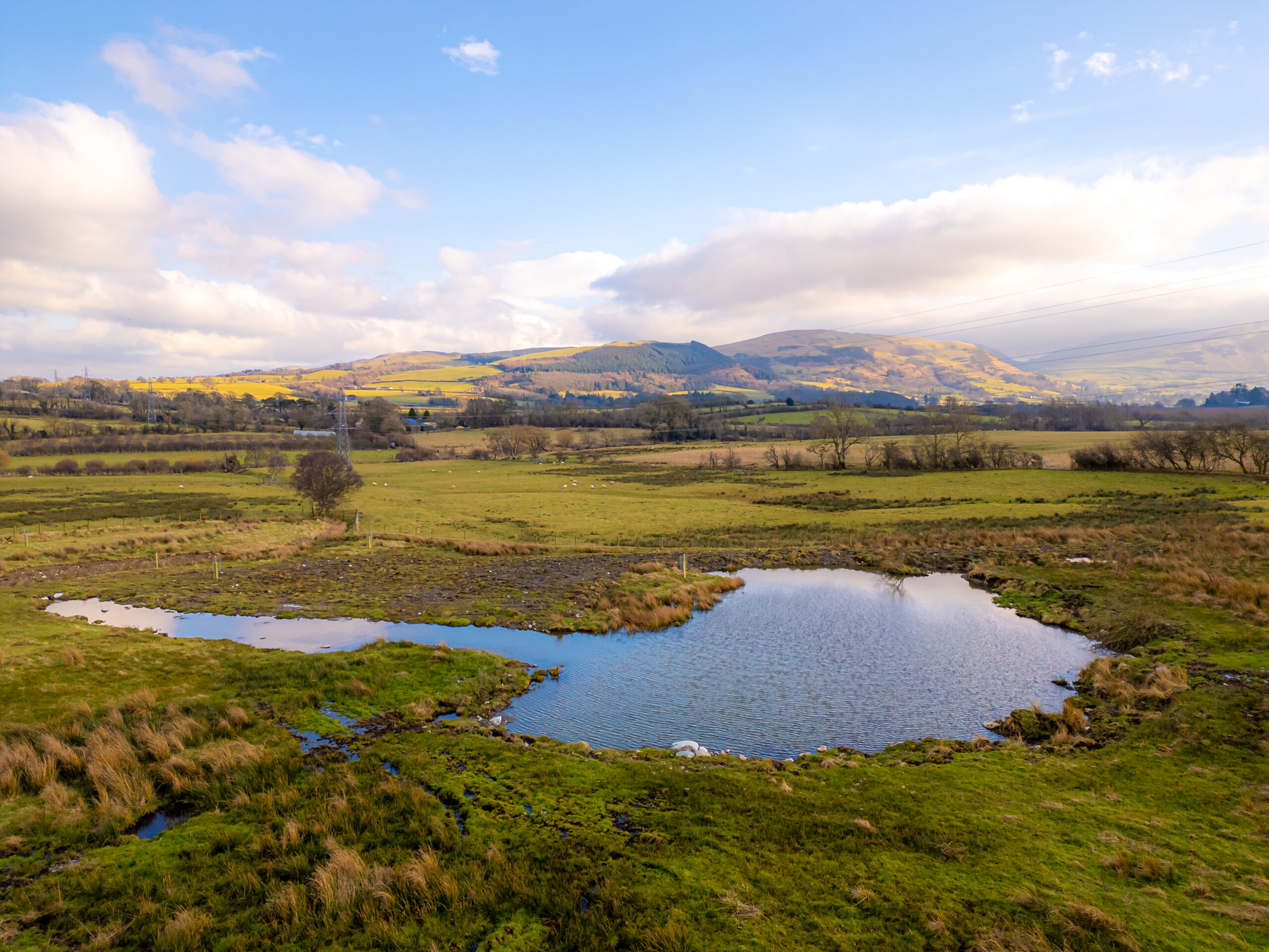small pond in the centre of wet green fields