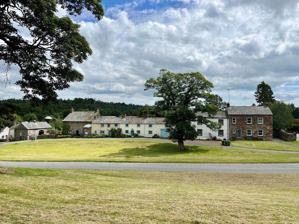large area of yellow-green grass and two green trees with a pedestrian path running through the middle. behind are a terraced row of white rural village houses