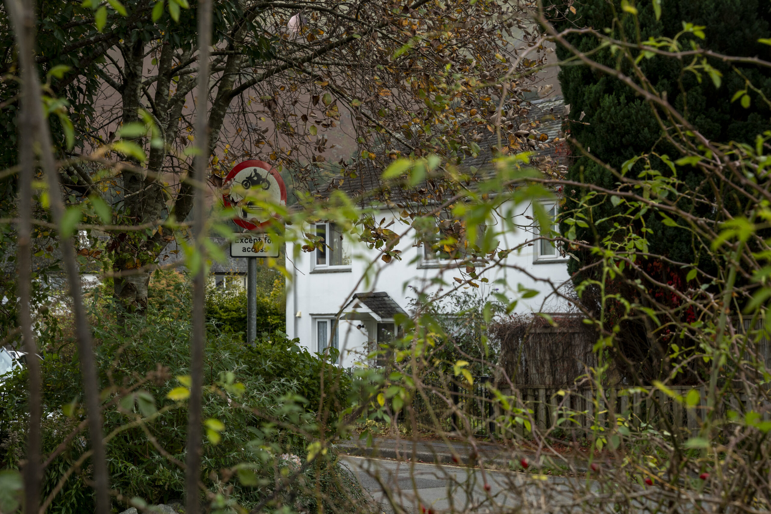 large white house, road and road sign partly visible through bush and tree vegetation
