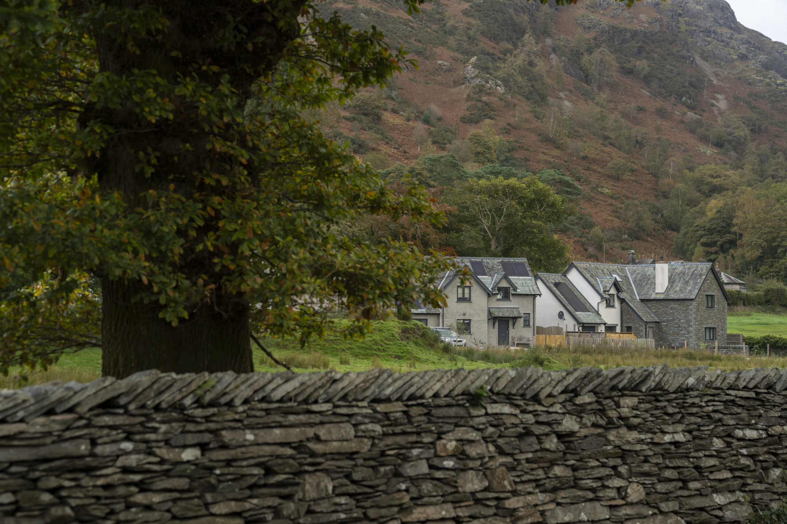 group of white and brown houses with grey slate roofs behind dry stone wall and large tree, in front of autumnal fell backdrop