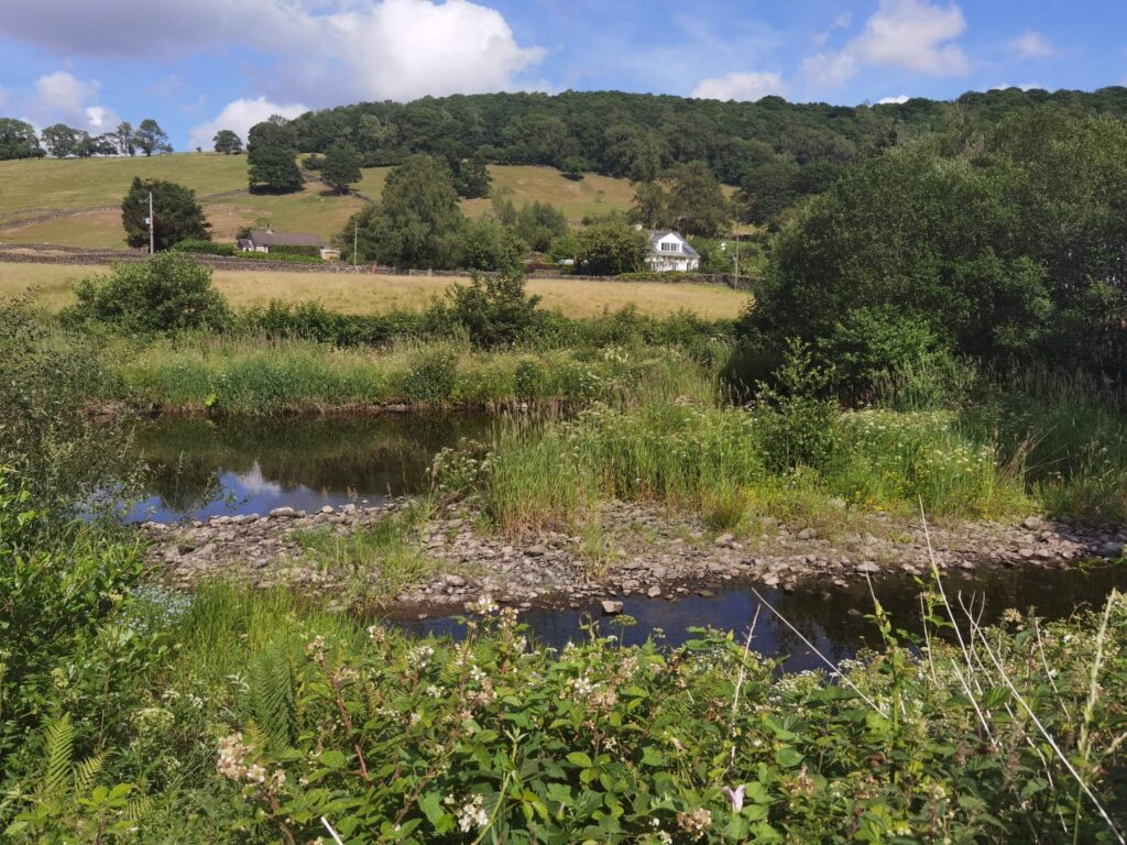 landscape view of the river kent amongst a lush green landscape of reeds, fields, bushes, trees and wildflowers