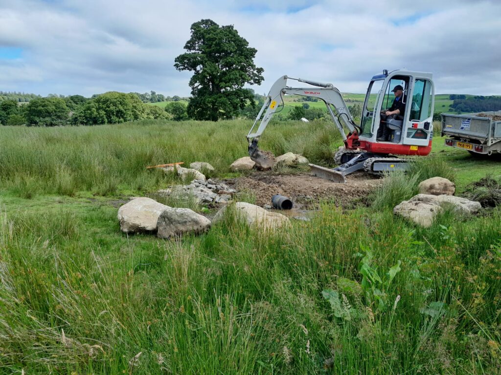 small digger in tall grass field moving ground material for drainage and resurfacing